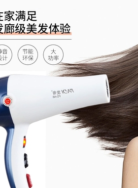 发帝电吹风机发型师专用大功率美