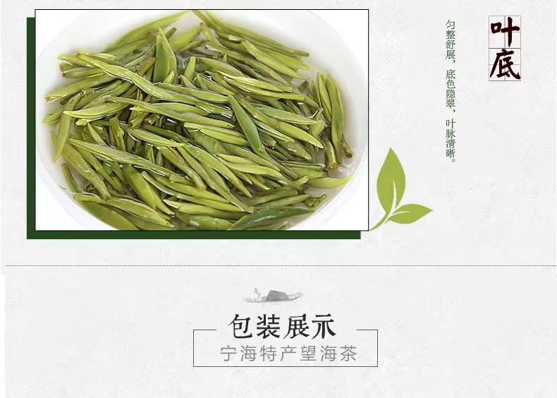 2024年望海茶1号宁海望海茶 茶叶精品级绿茶100克 耐泡高山茶春茶 - 图2