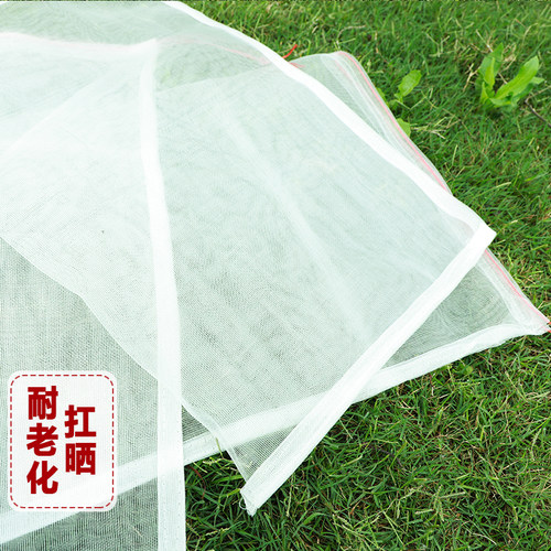 尼龙网袋无花果水果网套袋透气防虫防鸟蔬菜丝瓜葡萄保护袋浸种袋 - 图1