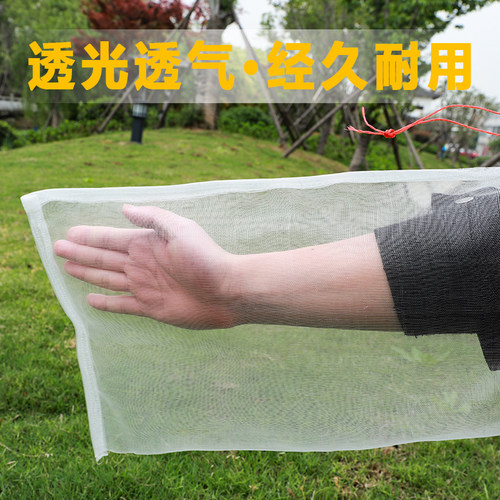 尼龙网袋无花果水果网套袋透气防虫防鸟蔬菜丝瓜葡萄保护袋浸种袋 - 图2