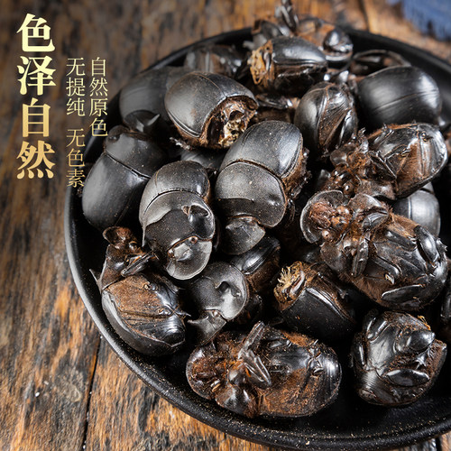 大将军中药材新货无盐蜣螂虫推粪球正品 - 图2