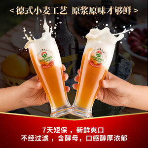 泰山原浆啤酒7天新鲜原浆8°P啤酒整箱瓶装精酿白啤720ml*6瓶