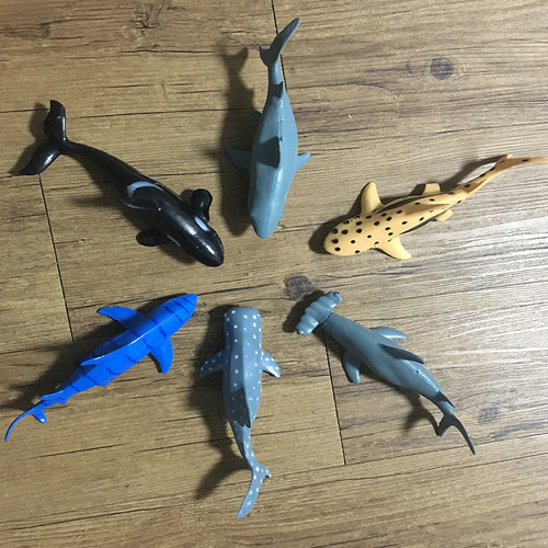 软胶仿真海洋生物动物模型玩具大白鲨鱼虎鲸巨齿鲨鲸鲨旋齿鲨套装 - 图1