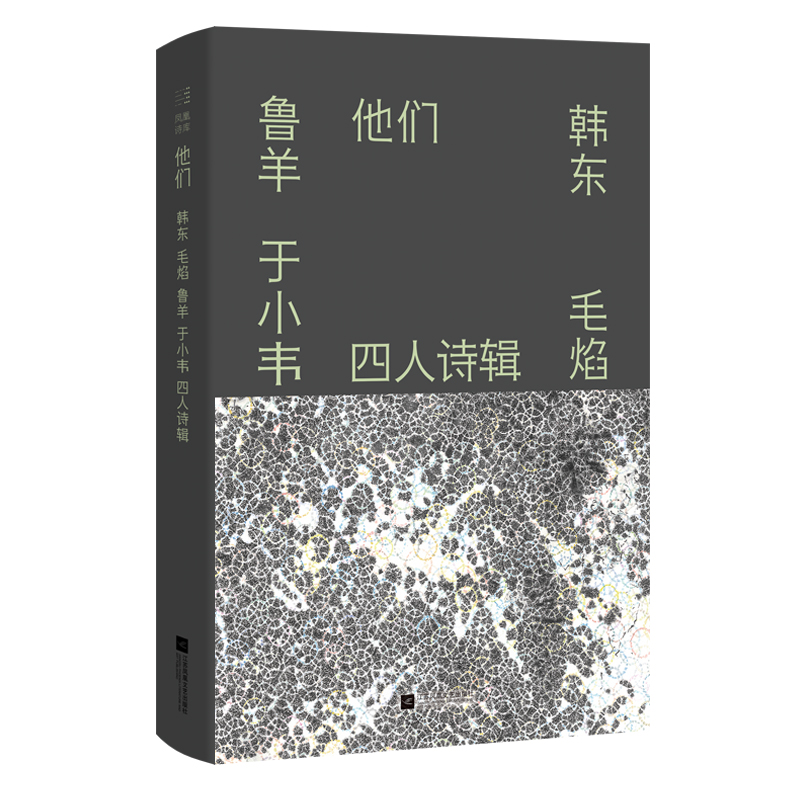 他们：韩东 毛焰 鲁羊 于小韦四人诗辑 4位意趣相投品格独立的诗人 160首经年累月厚积薄发之诗 抵近颠扑不破的诗歌真理诗歌诗集 - 图1