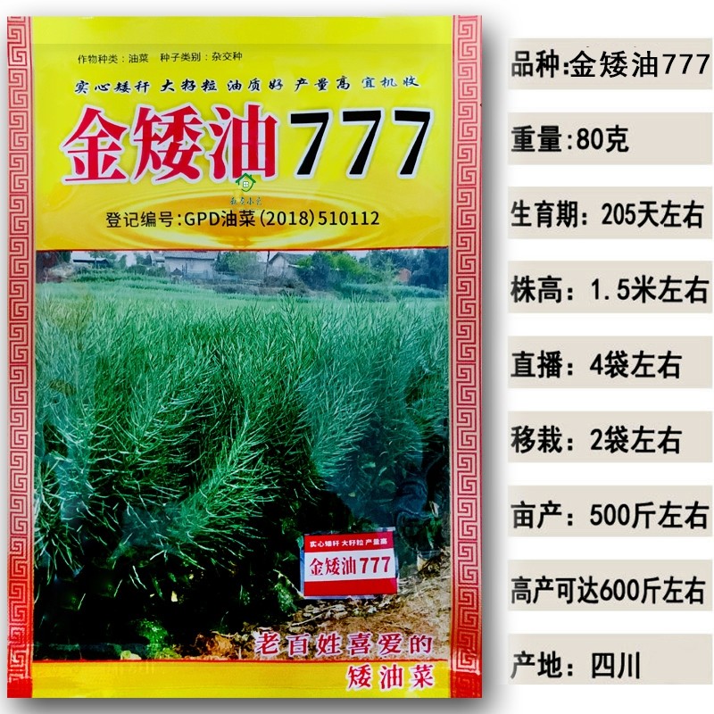 金矮油777油菜籽种 高产抗病抗倒伏油菜种子榨油观赏油菜花孑种苗 - 图1
