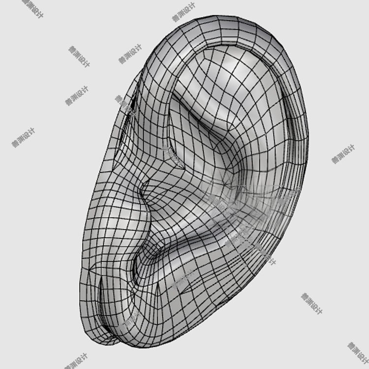 耳朵人体器官3D三维模型犀牛模型C4D/3dmax/stp/obj/obj/su可用 - 图3