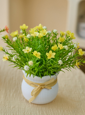 喜莱卡满天星仿真花摆设客厅餐桌装饰花艺摆件仿真绿植盆栽小盆花