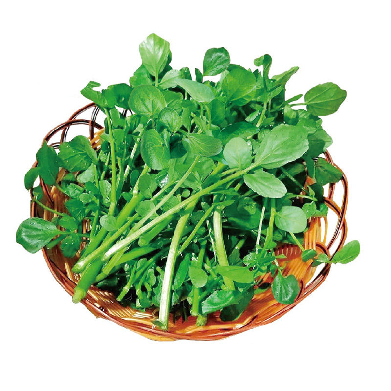 西洋菜种籽豆瓣菜种子四季菜种水芥菜蔬菜菜苗孑种苗籽种广东青菜,淘宝优惠券,粉丝福利购,淘宝优惠卷