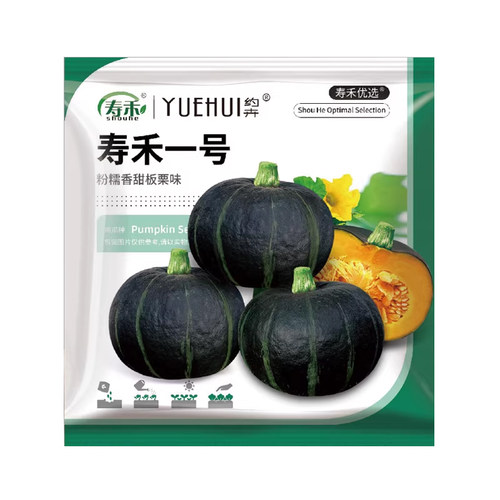 正宗寿禾绿贝贝南瓜种子板栗味小惠和一号粉糯香甜宝宝辅食蔬菜籽 - 图3