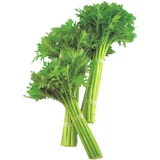 Цветочные семена семян семян семян листьев, семена артемизии, императорские овощи, осенние и зимние семена, зимние зеленые овощи, овощи, рапсовые рапсы