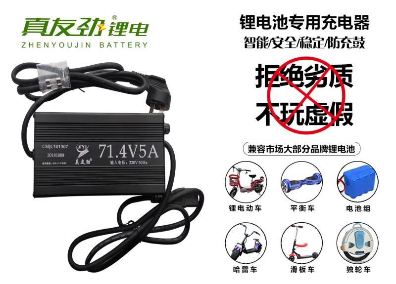 锂电池专用塑壳铝壳充电器智能12V24V36V48V60V72V84V2A3A5A8A - 图0