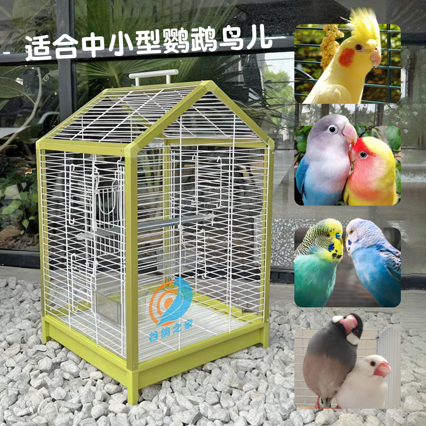 图3