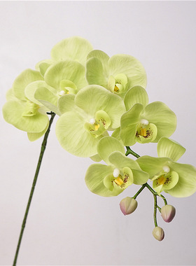 仿真花束高级感手感蝴蝶