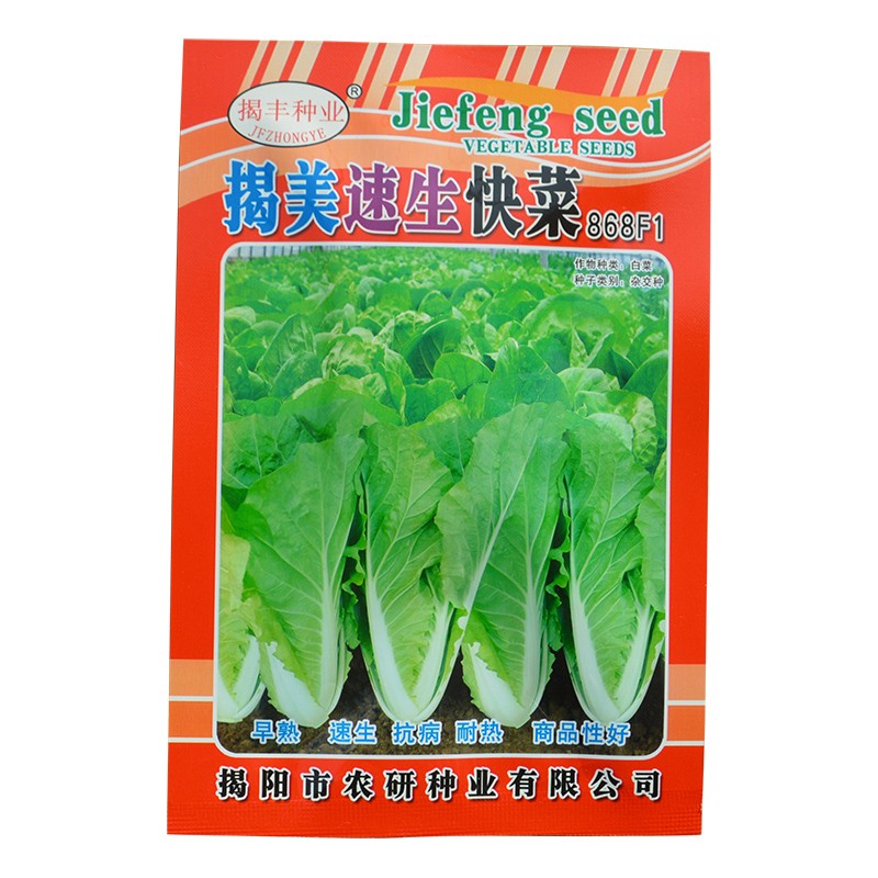 四季播蔬菜种子草莓辣椒番茄白菜黄瓜香菜籽花卉孑阳台蔬果种夏季-图1