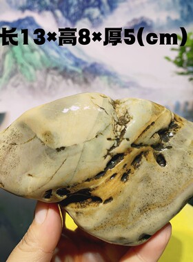 12.九龙璧天然奇石精品玄关博古架摆件原石泰山石太湖石