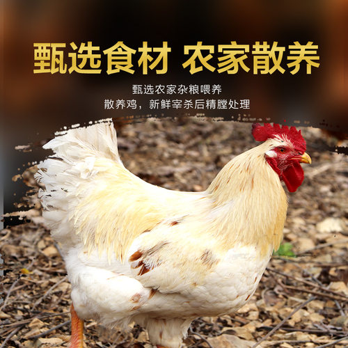 德州正宗扒鸡五香烧鸡旗舰店道口整只即食熟食烤鸡肉卤味年货礼盒 - 图3