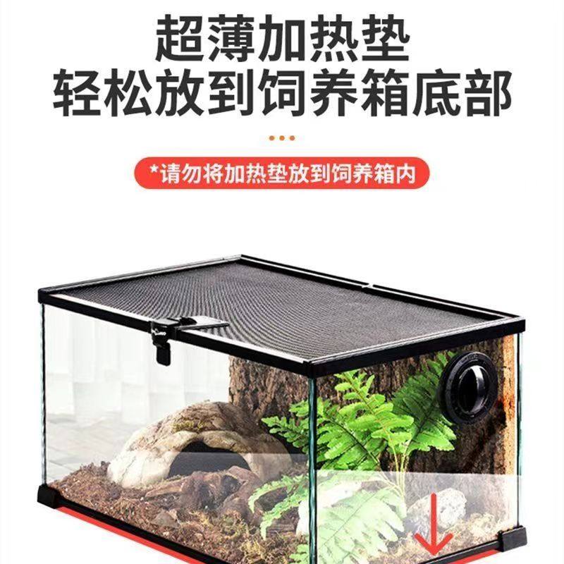 宠物温控加热垫乌龟蛇守宫蜘蛛白玉蜗牛仓鼠爬宠加温保温设备,淘宝优惠券,粉丝福利购,淘宝优惠卷