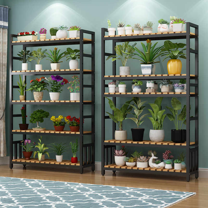 室外多肉 新人首单立减十元 21年8月 淘宝海外