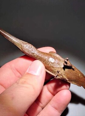 仿古合金翠鸟动物摆件长嘴鸟家居茶道茶艺桌面动物摆件 啄木鸟