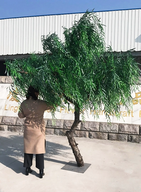 高端会所景观装饰大型落地柳树