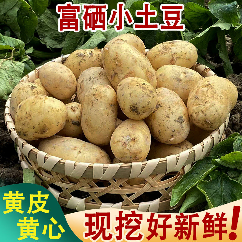 恩施现挖新鲜土豆9斤包邮小土豆农产品黄心马铃薯迷你大蔬菜洋芋5
