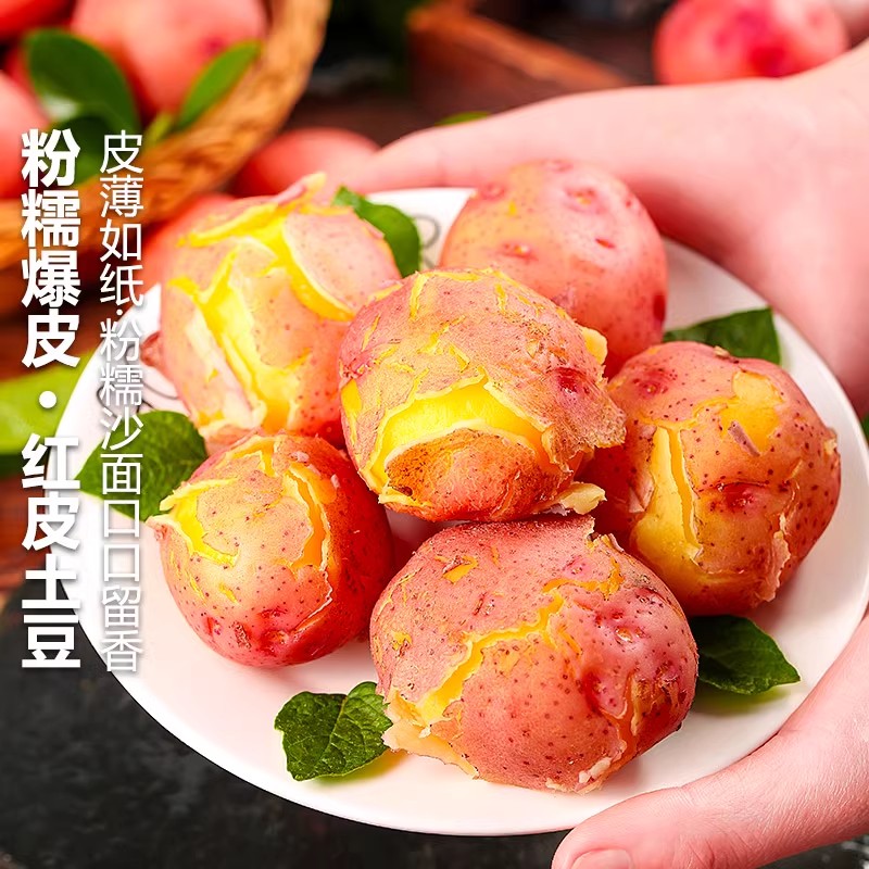 现挖现发云南高山新鲜红皮小土豆口感粉糯红皮黄心小土豆洋芋包邮