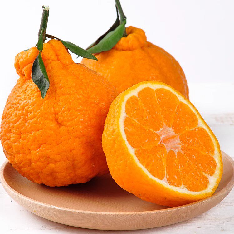 �����Ĵ����ٲ�֪������������Ӹ��ٽ۰ҰҴ����֭�������  �ش��5��80mm-85mm
 17.69Ԫ