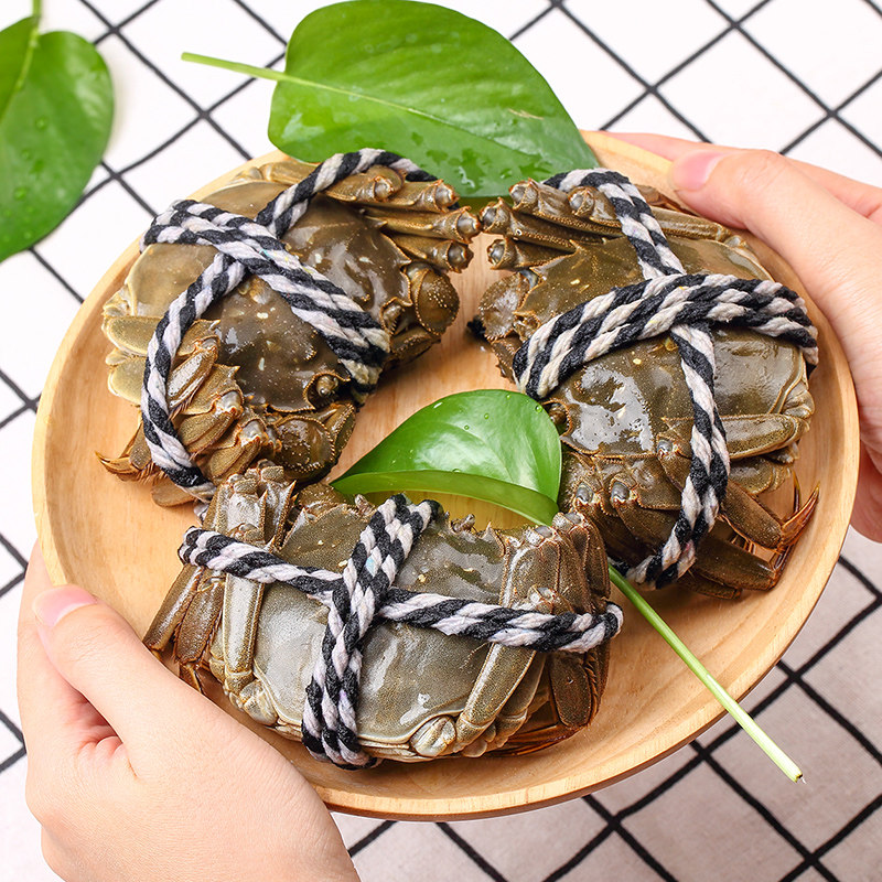 【活蟹】大螃蟹4.1-4.5两公6只现货鲜活残蟹大闸蟹特大版河蟹包邮,淘宝优惠券,粉丝福利购,淘宝优惠卷