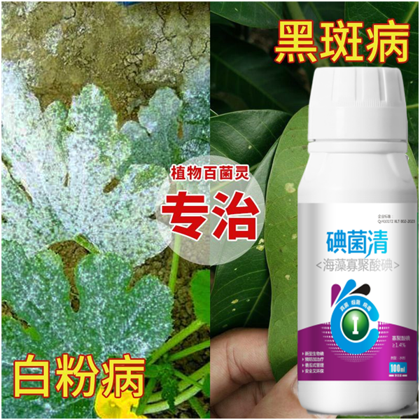 杀菌剂多肉专用杀菌药化水黑斑病烟煤病全治黑腐掉叶 - 图2