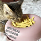Ruth's Happy Goat Milk Sticks Freeze-Dried Snacks for Cats