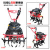 Zongshen high-power four-stroke farmland weeder for land reclamation