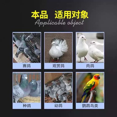 心连心毛呼二合一赛鸽鹦鹉鸟比赛繁殖期改善呼吸道黄白点鸽子保健 - 图1