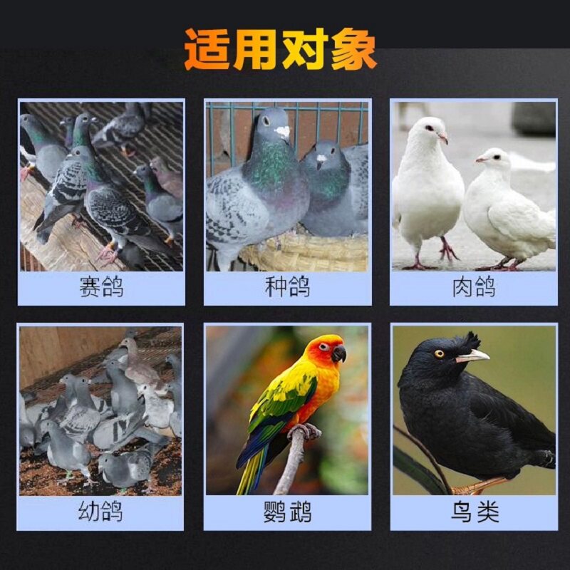 赛巴斯鸽用排酸肝精粉鸽用赛鸽比赛用品信鸽改善紫胸黑舌鸽子保健