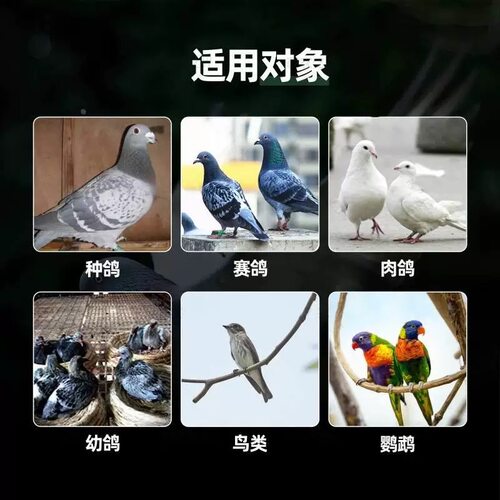 心连心鸟用感克灵玄凤牡丹虎皮小太阳凯克鹦鹉雏鸟改善呼吸道用品 - 图2