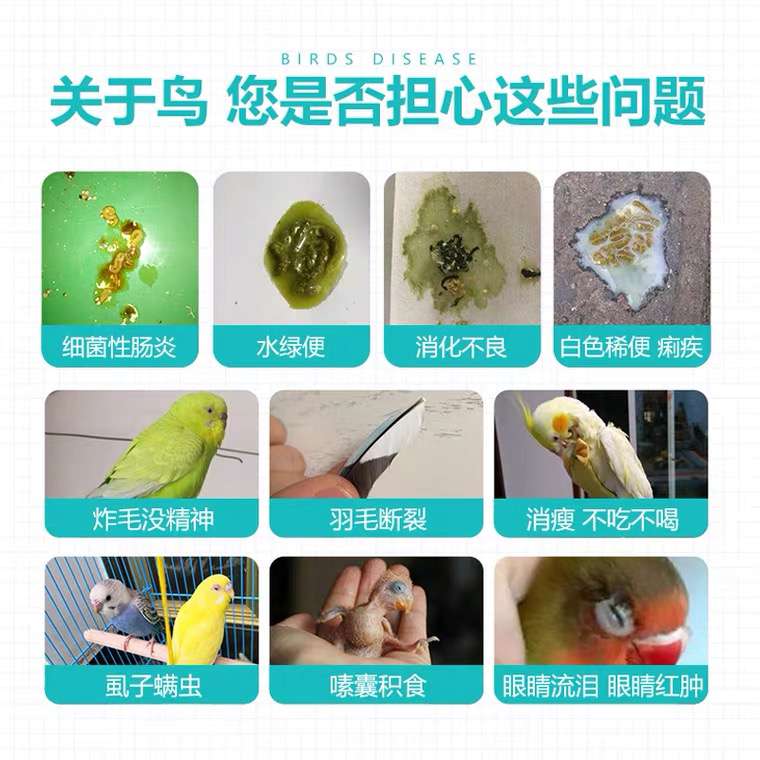 心连心养鸟常备全套玄凤牡丹虎皮鹦鹉画眉鹩哥感冒拉稀益生菌鸟药 - 图0