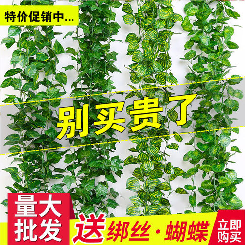 仿真葡萄叶藤条藤蔓植物树叶子管道吊顶装饰花藤假花塑料绿叶缠绕-图0