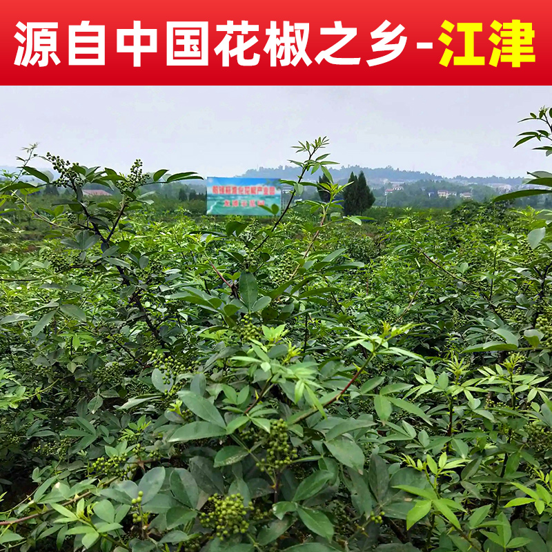 江津青花椒特麻青麻椒颗粒花椒散装特产调料商用新鲜正宗四川重庆 - 图3