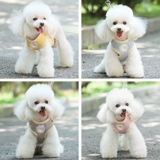 Ремешок для домашнего груди Daisy, ходящая собака, ходящая собака веревочная жилет, собака, вытягивающая веревочная веревочная веревка