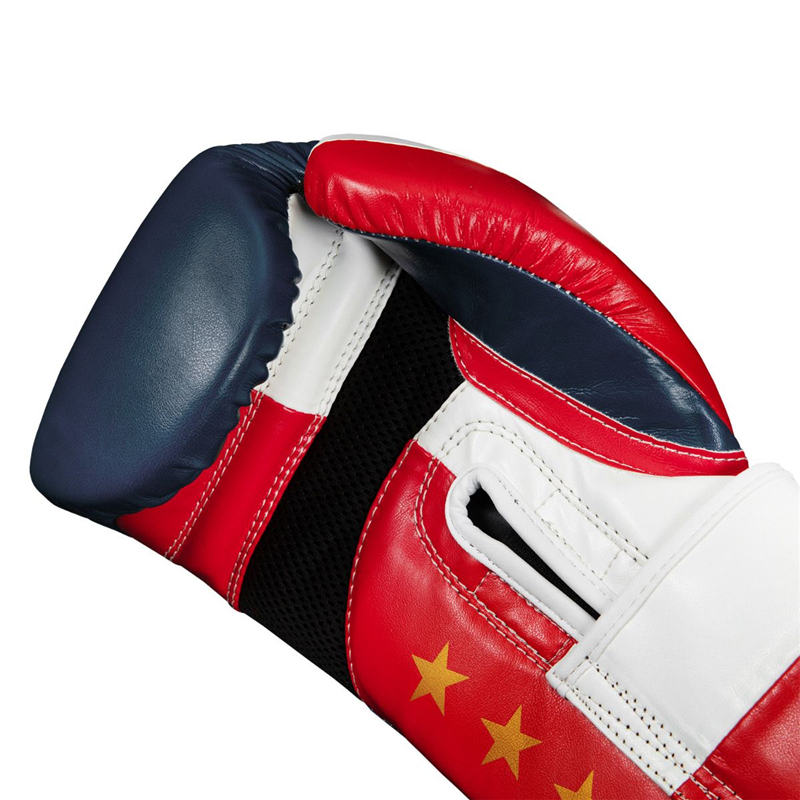 TITLE PRIDE SUPER BAG GLOVES 拳套 拳击手套 泰拳 MMA - 图0