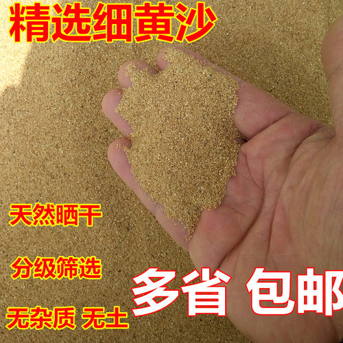分级精选黄沙天然河沙 多肉配土沙土鱼缸底沙子乌龟冬眠黄沙散装 - 图0