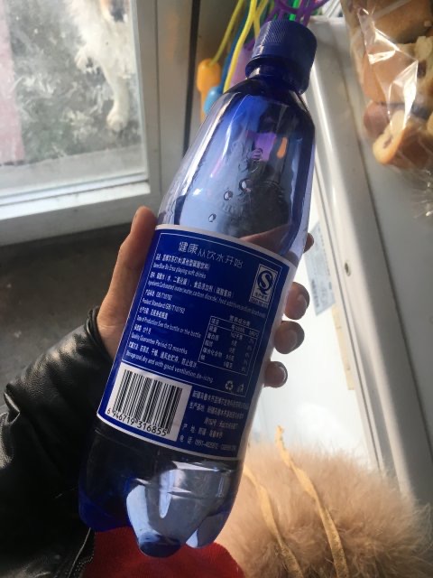 新疆蓝博尔苏打水650ml*12瓶原味苏打水气泡水无糖汽水碳酸饮料-图0