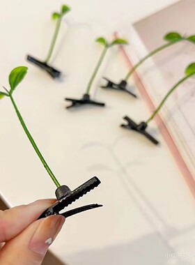 小草发夹可爱头上长草豆芽卖萌头顶搞怪夹子发卡发饰抖音超火头饰
