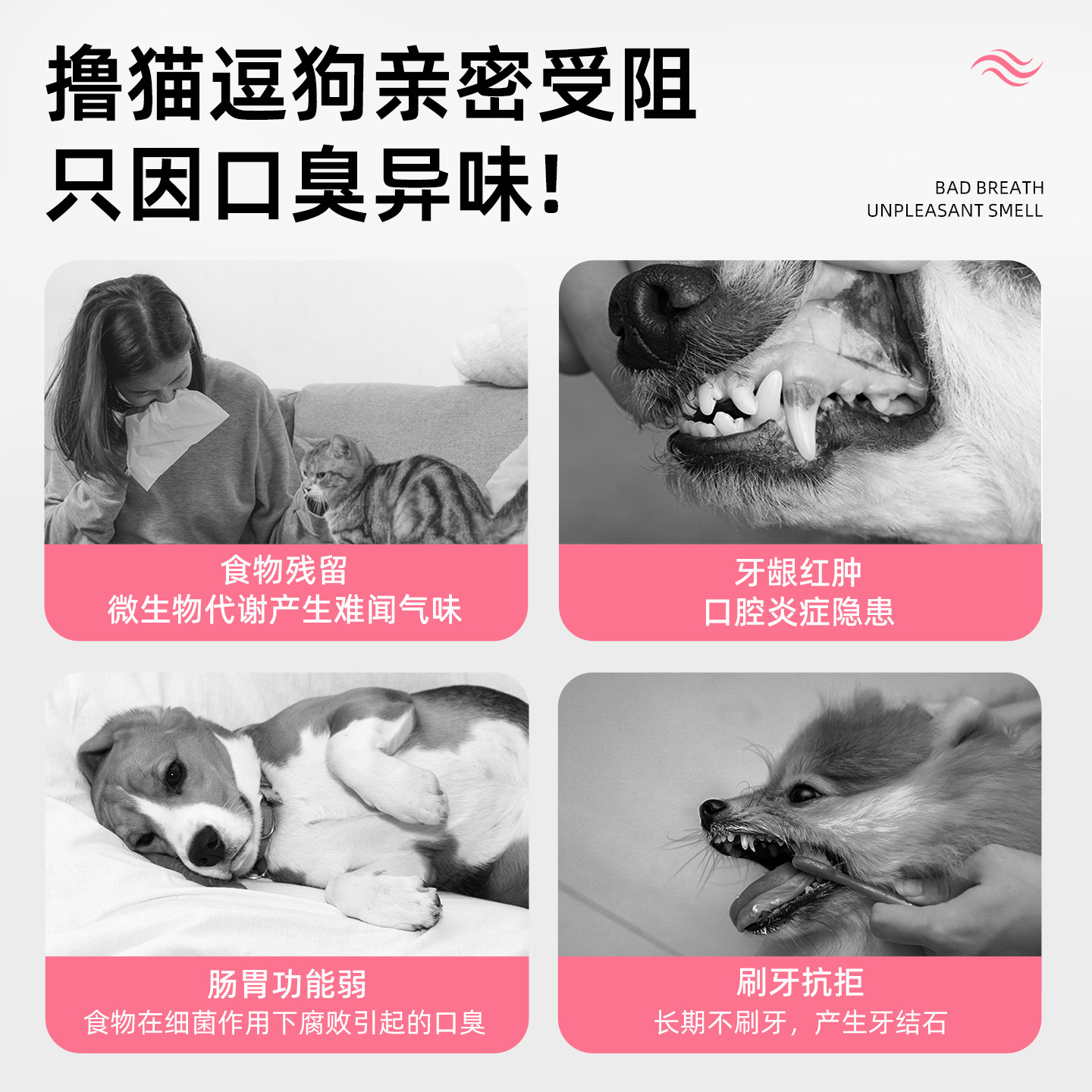 KONOKO宠物狗狗漱口水猫咪口腔清洁代替刷牙洁齿水可食用洁牙水,淘宝优惠券,粉丝福利购,淘宝优惠卷