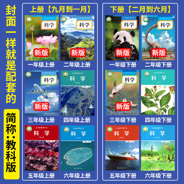 School designated primary school science experiment material box