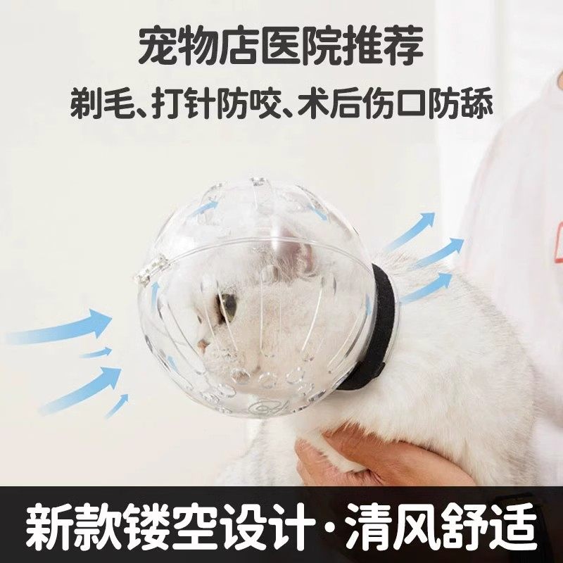 猫头套防咬猫咪太空头罩洗澡剪指甲防抓防舔宠物神器伊丽莎白项圈,淘宝优惠券,粉丝福利购,淘宝优惠卷
