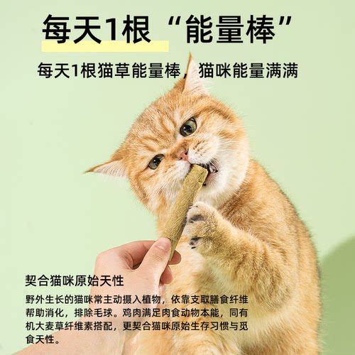 冻干猫草棒磨牙棒猫咪零食成猫幼猫化毛球排毛即食猫草粒磨牙洁齿 - 图0