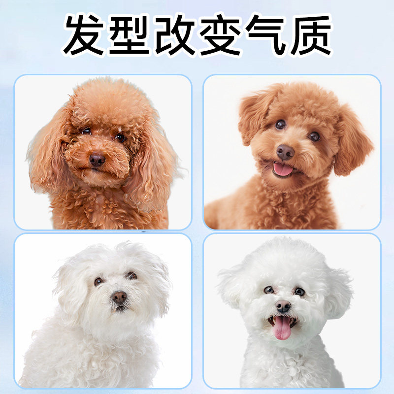 狗狗剪毛专用剪刀宠物美容剪刀修毛剪刀套装弯剪泰迪剪狗毛神器,淘宝优惠券,粉丝福利购,淘宝优惠卷