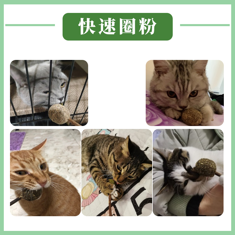 猫薄荷球猫玩具自嗨磨牙逗猫神器棒棒糖舔舔乐逗猫棒耐咬猫咪玩具 - 图2