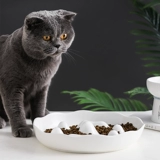 Pet Pet Mlow Food Bow