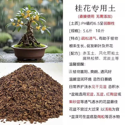 桂花专用土赤玉土风化土风化石颗粒土酸性土红土专用肥玉肥营养土 - 图1